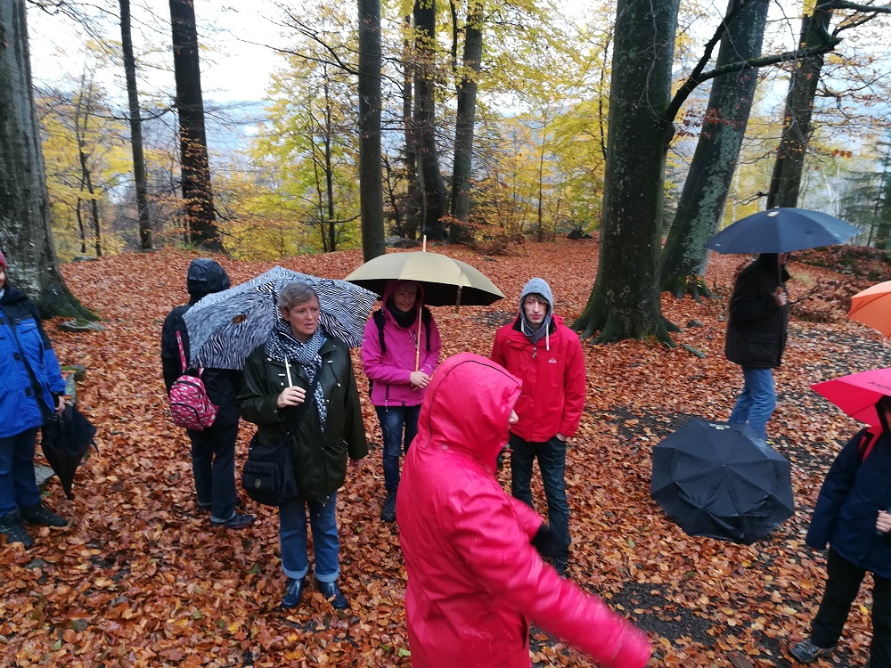 Wanderer im Herbstwald